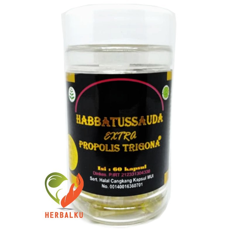 HABBATUSSAUDA EXTRA PROPOLIS TRIGONA ISI 60 KAPSUL